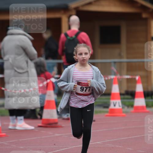 13.04.2025 - Hammer Lauf A. Gomolzig http://msf.ph/oto/7667538 13.04.2025 13:03:45 Ziel 174, 977 meine-sportfotos.de