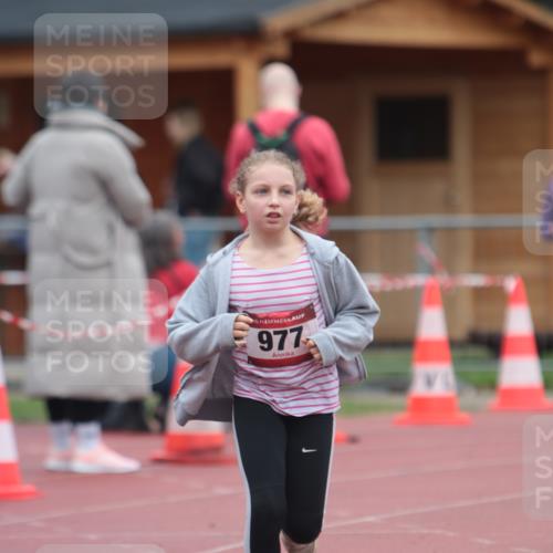 13.04.2025 - Hammer Lauf A. Gomolzig http://msf.ph/oto/7667540 13.04.2025 13:03:46 Ziel 174, 977 meine-sportfotos.de