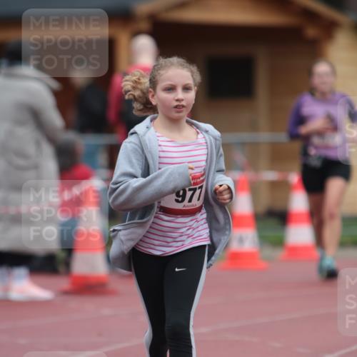 13.04.2025 - Hammer Lauf A. Gomolzig http://msf.ph/oto/7667542 13.04.2025 13:03:47 Ziel 167, 174, 977, 1945 meine-sportfotos.de