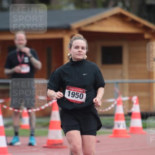 13.04.2025 - Hammer Lauf A. Gomolzig http://msf.ph/oto/7667938 13.04.2025 13:31:07 Ziel 1950 meine-sportfotos.de