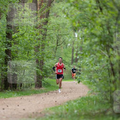04.05.2025 - 8. Wedeler Halbmarathon Michael Strokosch http://msf.ph/oto/7815382 04.05.2025 10:29:12 Laufen 993 meine-sportfotos.de