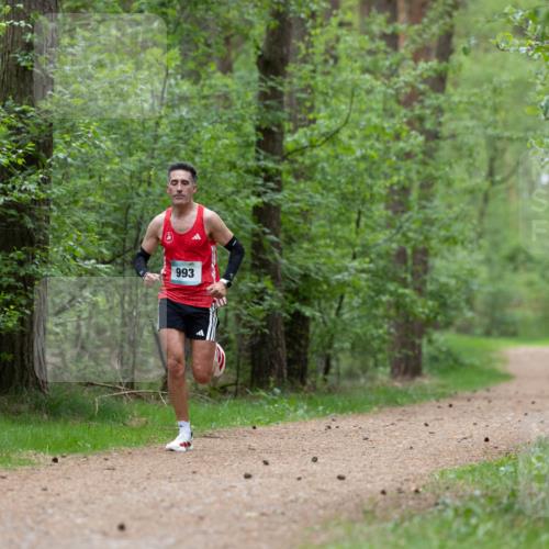 04.05.2025 - 8. Wedeler Halbmarathon Michael Strokosch http://msf.ph/oto/7815396 04.05.2025 10:29:17 Laufen 60, 993 meine-sportfotos.de