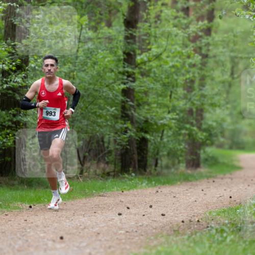 04.05.2025 - 8. Wedeler Halbmarathon Michael Strokosch http://msf.ph/oto/7815407 04.05.2025 10:29:18 Laufen 993 meine-sportfotos.de