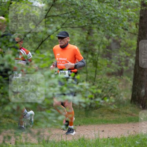 04.05.2025 - 8. Wedeler Halbmarathon Michael Strokosch http://msf.ph/oto/7816043 04.05.2025 10:37:45 Laufen 186, 808 meine-sportfotos.de