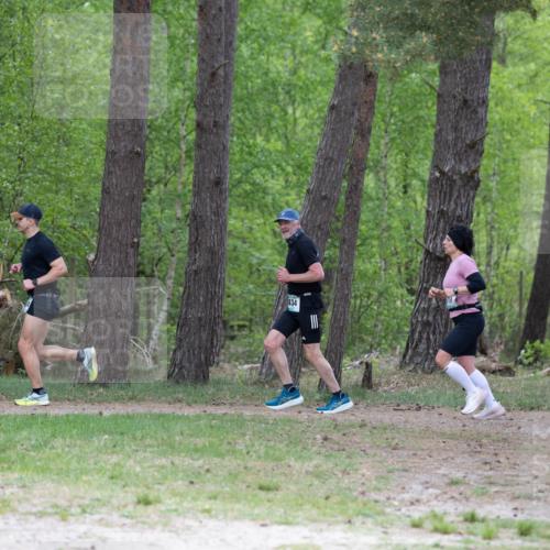 04.05.2025 - 8. Wedeler Halbmarathon Michael Strokosch http://msf.ph/oto/7816081 04.05.2025 10:41:10 Laufen 434 meine-sportfotos.de