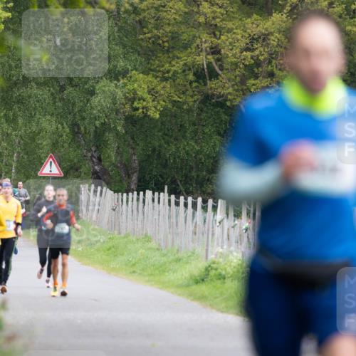 04.05.2025 - 8. Wedeler Halbmarathon Michael Strokosch http://msf.ph/oto/7816164 04.05.2025 10:48:25 Laufen 216 meine-sportfotos.de