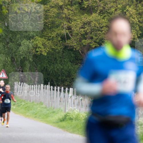 04.05.2025 - 8. Wedeler Halbmarathon Michael Strokosch http://msf.ph/oto/7816167 04.05.2025 10:48:25 Laufen  meine-sportfotos.de