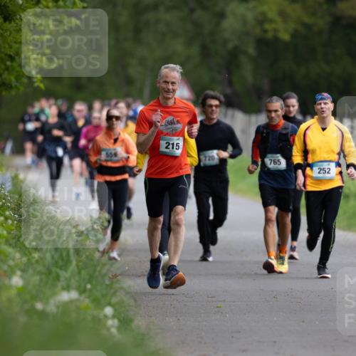04.05.2025 - 8. Wedeler Halbmarathon Michael Strokosch http://msf.ph/oto/7816177 04.05.2025 10:48:40 Laufen 215, 559, 720, 765, 252 meine-sportfotos.de