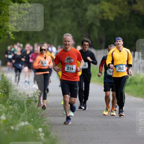 04.05.2025 - 8. Wedeler Halbmarathon Michael Strokosch http://msf.ph/oto/7816186 04.05.2025 10:48:40 Laufen 215, 765, 252 meine-sportfotos.de