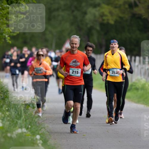04.05.2025 - 8. Wedeler Halbmarathon Michael Strokosch http://msf.ph/oto/7816192 04.05.2025 10:48:41 Laufen 559, 215, 252 meine-sportfotos.de