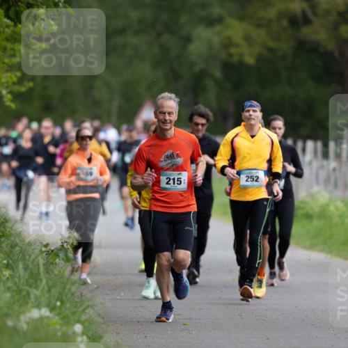 04.05.2025 - 8. Wedeler Halbmarathon Michael Strokosch http://msf.ph/oto/7816197 04.05.2025 10:48:41 Laufen 215, 252 meine-sportfotos.de