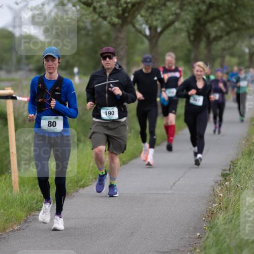 04.05.2025 - 8. Wedeler Halbmarathon Michael Strokosch http://msf.ph/oto/7816489 04.05.2025 11:01:42 Laufen 80, 80, 190, 381 meine-sportfotos.de