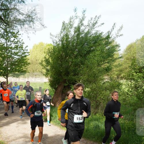 04.05.2025 - 8. Wedeler Halbmarathon Felixshl http://msf.ph/oto/7819434 04.05.2025 10:02:00 Laufen 115, 949, 325, 935, 765, 152 meine-sportfotos.de