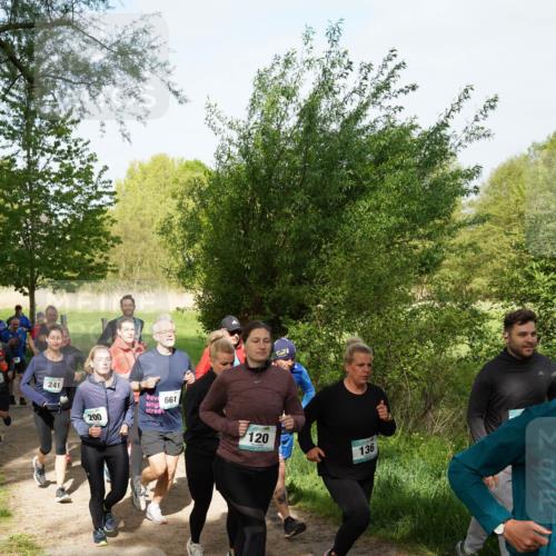 04.05.2025 - 8. Wedeler Halbmarathon Felixshl http://msf.ph/oto/7819562 04.05.2025 10:02:15 Laufen 241, 200, 661, 120, 136 meine-sportfotos.de