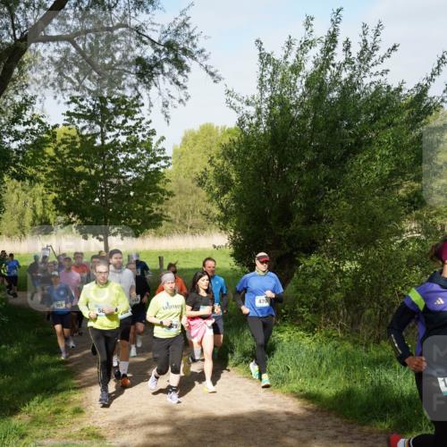 04.05.2025 - 8. Wedeler Halbmarathon Felixshl http://msf.ph/oto/7819578 04.05.2025 10:02:20 Laufen 58, 29, 470 meine-sportfotos.de