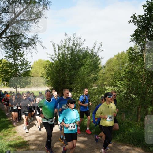 04.05.2025 - 8. Wedeler Halbmarathon Felixshl http://msf.ph/oto/7819637 04.05.2025 10:02:36 Laufen 276, 896, 722, 1153, 580 meine-sportfotos.de