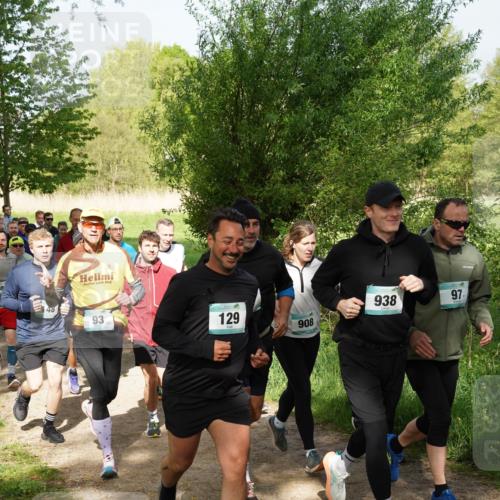 04.05.2025 - 8. Wedeler Halbmarathon Felixshl http://msf.ph/oto/7819665 04.05.2025 10:02:50 Laufen 28, 938, 97, 93, 129, 908 meine-sportfotos.de