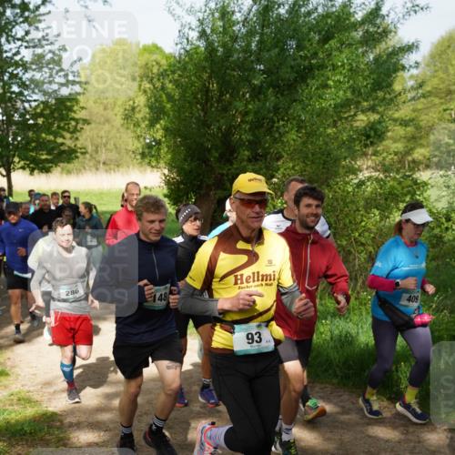 04.05.2025 - 8. Wedeler Halbmarathon Felixshl http://msf.ph/oto/7819668 04.05.2025 10:02:51 Laufen 286, 48, 93, 6, 409 meine-sportfotos.de