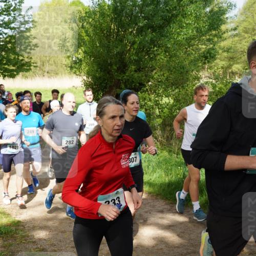 04.05.2025 - 8. Wedeler Halbmarathon Felixshl http://msf.ph/oto/7819682 04.05.2025 10:02:56 Laufen 1021, 249, 282, 399, 233, 807 meine-sportfotos.de