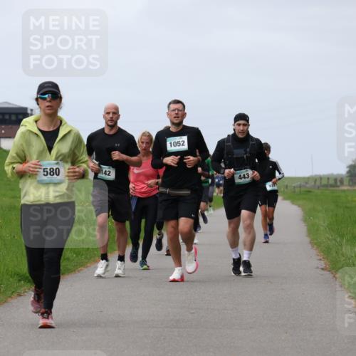 04.05.2025 - 8. Wedeler Halbmarathon Yannick Fuchs http://msf.ph/oto/7821085 04.05.2025 11:51:19 Laufen 580, 142, 1052, 443, 931 meine-sportfotos.de