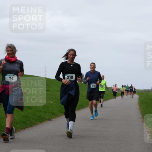 04.05.2025 - 8. Wedeler Halbmarathon Yannick Fuchs http://msf.ph/oto/7821357 04.05.2025 11:28:21 Laufen 14, 210, 648 meine-sportfotos.de