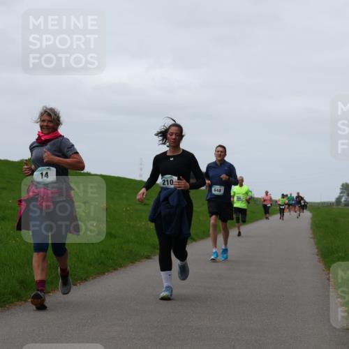 04.05.2025 - 8. Wedeler Halbmarathon Yannick Fuchs http://msf.ph/oto/7821361 04.05.2025 11:28:21 Laufen 14, 210, 648 meine-sportfotos.de