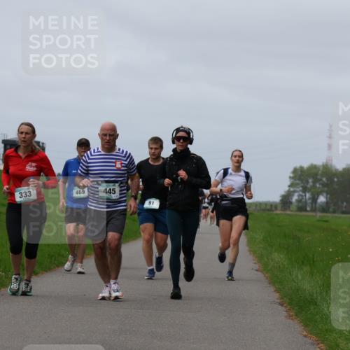 04.05.2025 - 8. Wedeler Halbmarathon Yannick Fuchs http://msf.ph/oto/7822707 04.05.2025 11:52:19 Laufen 333, 469, 445, 91, 10000 meine-sportfotos.de