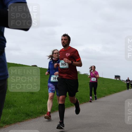 04.05.2025 - 8. Wedeler Halbmarathon Yannick Fuchs http://msf.ph/oto/7822897 04.05.2025 11:29:54 Laufen 39, 365, 392 meine-sportfotos.de
