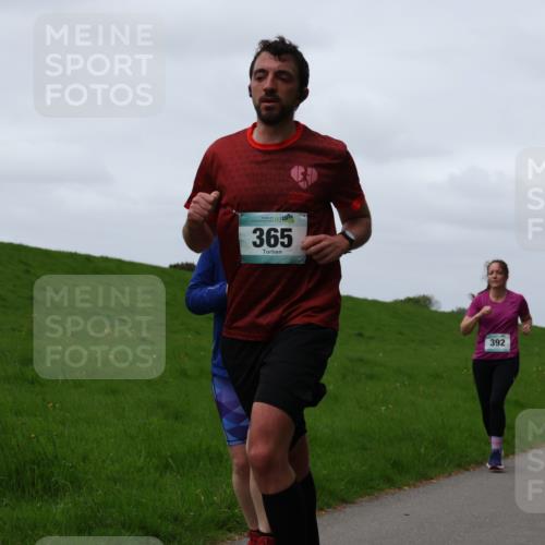 04.05.2025 - 8. Wedeler Halbmarathon Yannick Fuchs http://msf.ph/oto/7822912 04.05.2025 11:29:55 Laufen 142525252, 365, 392 meine-sportfotos.de