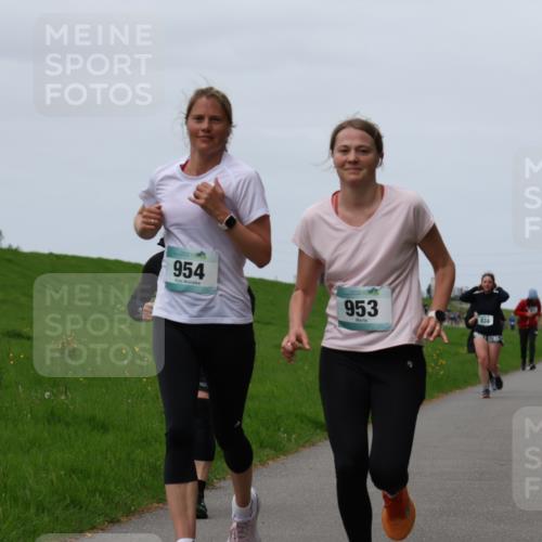 04.05.2025 - 8. Wedeler Halbmarathon Yannick Fuchs http://msf.ph/oto/7823117 04.05.2025 11:30:09 Laufen 954, 953, 834 meine-sportfotos.de