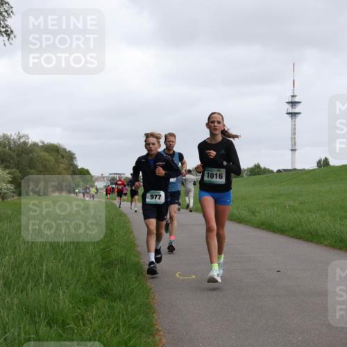 04.05.2025 - 8. Wedeler Halbmarathon Yannick Fuchs http://msf.ph/oto/7823831 04.05.2025 11:11:26 Laufen 977, 1016 meine-sportfotos.de