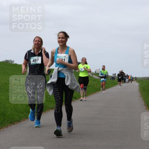 04.05.2025 - 8. Wedeler Halbmarathon Yannick Fuchs http://msf.ph/oto/7823990 04.05.2025 11:30:59 Laufen 497 meine-sportfotos.de
