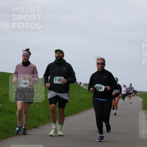04.05.2025 - 8. Wedeler Halbmarathon Yannick Fuchs http://msf.ph/oto/7825369 04.05.2025 11:32:19 Laufen 118, 1186, 1031, 455 meine-sportfotos.de