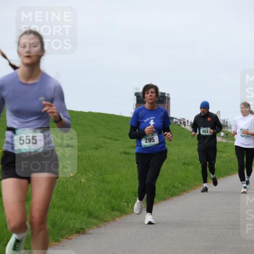 04.05.2025 - 8. Wedeler Halbmarathon Yannick Fuchs http://msf.ph/oto/7825659 04.05.2025 11:32:35 Laufen 555, 295, 423 meine-sportfotos.de