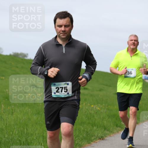 04.05.2025 - 8. Wedeler Halbmarathon Yannick Fuchs http://msf.ph/oto/7826105 04.05.2025 11:55:18 Laufen 275, 36 meine-sportfotos.de