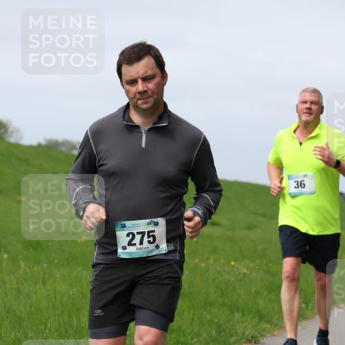 04.05.2025 - 8. Wedeler Halbmarathon Yannick Fuchs http://msf.ph/oto/7826118 04.05.2025 11:55:18 Laufen 275, 36 meine-sportfotos.de