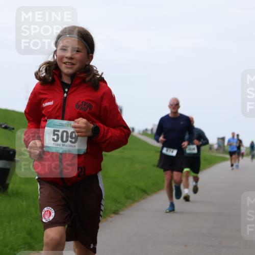04.05.2025 - 8. Wedeler Halbmarathon Yannick Fuchs http://msf.ph/oto/7828603 04.05.2025 11:16:19 Laufen 81, 509, 21, 474 meine-sportfotos.de