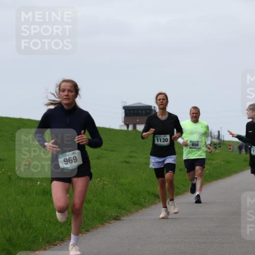 04.05.2025 - 8. Wedeler Halbmarathon Yannick Fuchs http://msf.ph/oto/7830321 04.05.2025 11:19:01 Laufen 969, 1130, 656, 1111 meine-sportfotos.de