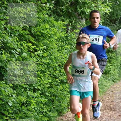 04.05.2025 - 8. Wedeler Halbmarathon Lena Gebhardt http://msf.ph/oto/7830558 04.05.2025 11:14:50 Laufen 966, 361 meine-sportfotos.de