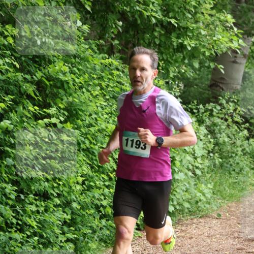 04.05.2025 - 8. Wedeler Halbmarathon Lena Gebhardt http://msf.ph/oto/7830601 04.05.2025 11:14:54 Laufen 1193 meine-sportfotos.de