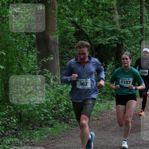 04.05.2025 - 8. Wedeler Halbmarathon Lena Gebhardt http://msf.ph/oto/7830736 04.05.2025 11:15:43 Laufen 362, 157, 1157, 813, 1088 meine-sportfotos.de