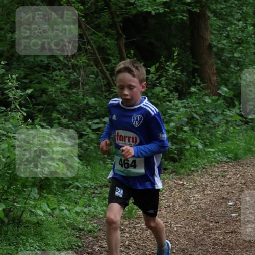 04.05.2025 - 8. Wedeler Halbmarathon Lena Gebhardt http://msf.ph/oto/7830797 04.05.2025 11:15:52 Laufen 688, 464 meine-sportfotos.de