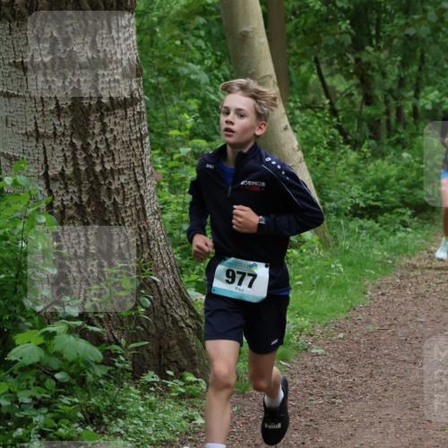 04.05.2025 - 8. Wedeler Halbmarathon Lena Gebhardt http://msf.ph/oto/7830853 04.05.2025 11:16:18 Laufen 977 meine-sportfotos.de