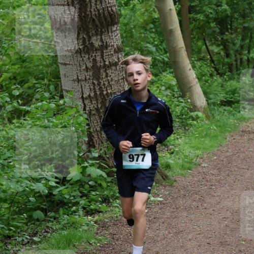 04.05.2025 - 8. Wedeler Halbmarathon Lena Gebhardt http://msf.ph/oto/7830856 04.05.2025 11:16:18 Laufen 977 meine-sportfotos.de