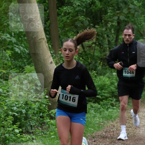 04.05.2025 - 8. Wedeler Halbmarathon Lena Gebhardt http://msf.ph/oto/7830864 04.05.2025 11:16:20 Laufen 11016, 1044 meine-sportfotos.de