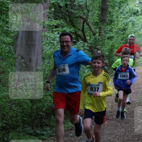 04.05.2025 - 8. Wedeler Halbmarathon Lena Gebhardt http://msf.ph/oto/7831023 04.05.2025 11:17:07 Laufen 936, 937, 1063, 10 meine-sportfotos.de