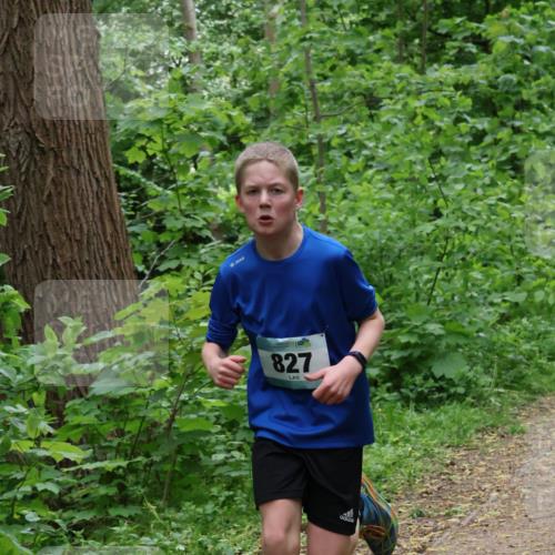04.05.2025 - 8. Wedeler Halbmarathon Lena Gebhardt http://msf.ph/oto/7831295 04.05.2025 11:17:33 Laufen 827 meine-sportfotos.de