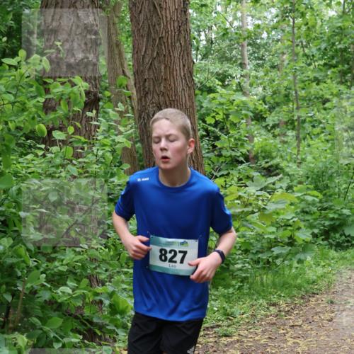 04.05.2025 - 8. Wedeler Halbmarathon Lena Gebhardt http://msf.ph/oto/7831314 04.05.2025 11:17:33 Laufen 827 meine-sportfotos.de