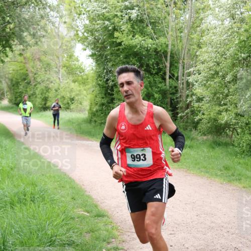 04.05.2025 - 8. Wedeler Halbmarathon Lena Gebhardt http://msf.ph/oto/7831492 04.05.2025 11:18:06 Laufen 993 meine-sportfotos.de