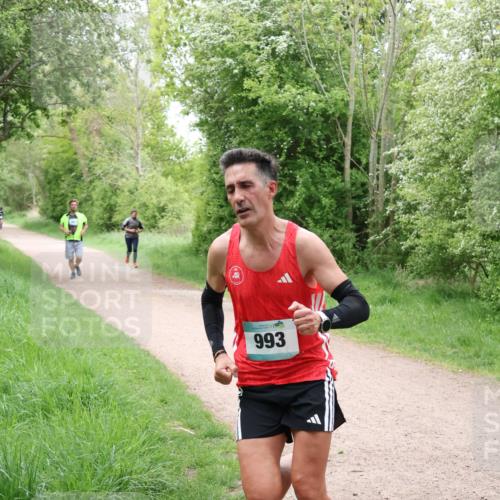 04.05.2025 - 8. Wedeler Halbmarathon Lena Gebhardt http://msf.ph/oto/7831495 04.05.2025 11:18:06 Laufen 993 meine-sportfotos.de